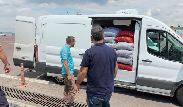 Yalova'da 3 ton kaçak avlanan midye ele geçirildi