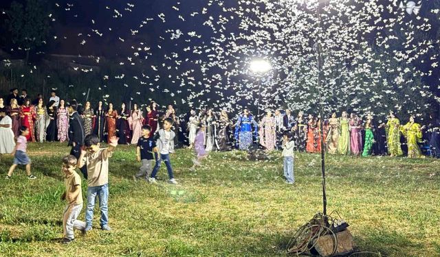 Düğün alanını kelebekler sardı, davetliler oturdu kelebekler dans etti