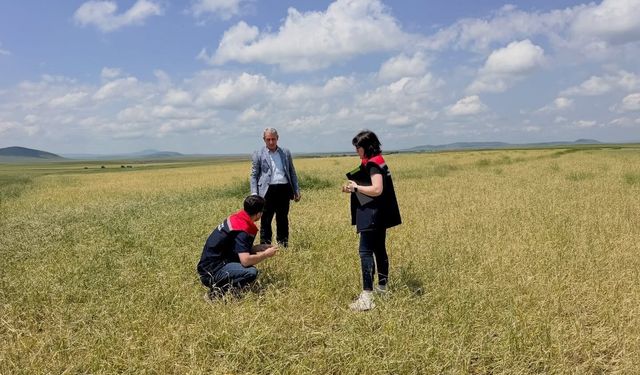 Kars'ta fırtına ve dolu sonrası hasar tespit çalışmaları başladı