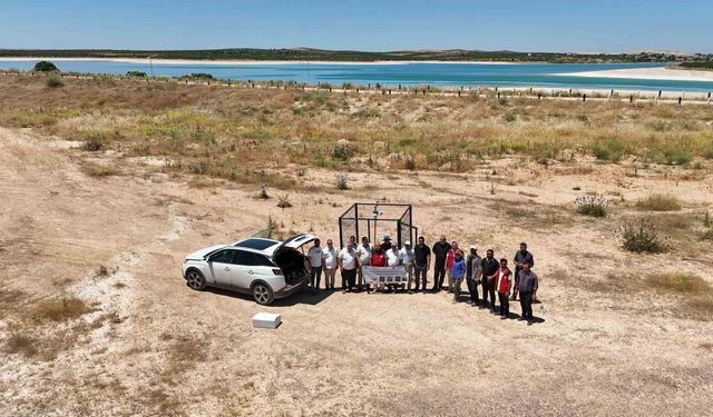 Suruç Ovası'nda dijital tarım dönemi: 20 bin üreticiye hizmet verecek meteoroloji istasyonu kuruldu