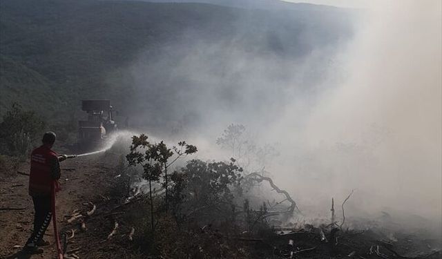 Çanakkale'de ormanlık alanda çıkan yangın kontrol altına alındı