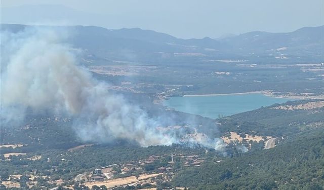 GÜNCELLEME - Çanakkale'de zirai alanda çıkan yangın kontrol altına alındı