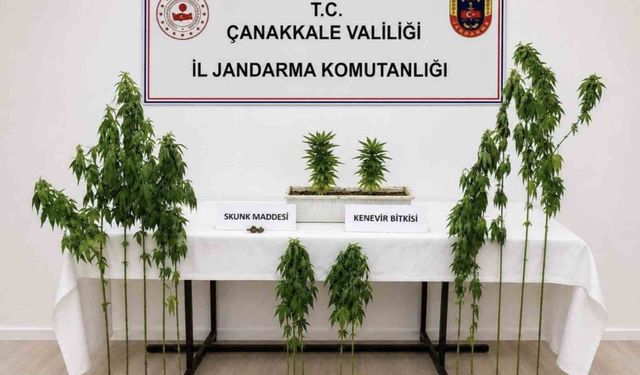 Çanakkale'de 3 ilçede uyuşturucu operasyonu