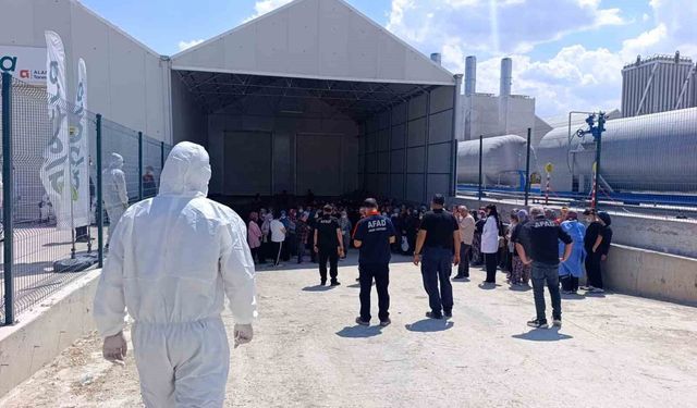 Domates serasında zehirlenme: 10 çalışan hastaneye kaldırıldı