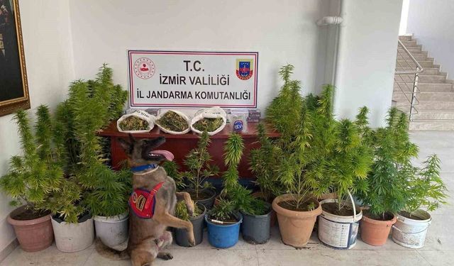 İzmir'de uyuşturucu operasyonu: 3 tutuklama