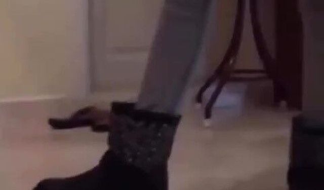 Kaplumbağayı ayağıyla ezen şüpheli gözaltına alındı