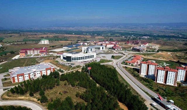 Kastamonu Üniversitesi ve Erciyes Üniversitesi'nin hidrojen üretimi yöntemi tescillendi