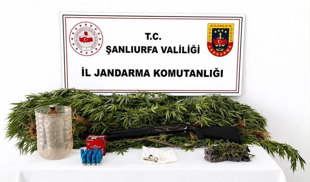 Şanlıurfa'da uyuşturucu operasyonunda 1 şüpheli yakalandı