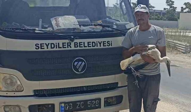Yaralı leylek koruma altına alındı