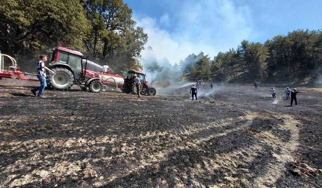 Bolu'da bahçede başlayan yangın ormanlık alana sıçradı