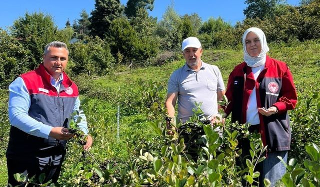 Düzce'de üretiminde yeni hedef katma değerli ürünler