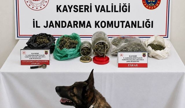 Jandarma operasyonunda bin 200 gram uyuşturucu ele geçirildi