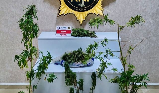 Kars'ta uyuşturucu operasyonu: Evden 272 gram esrar ve 6 kök Hint keneviri çıktı