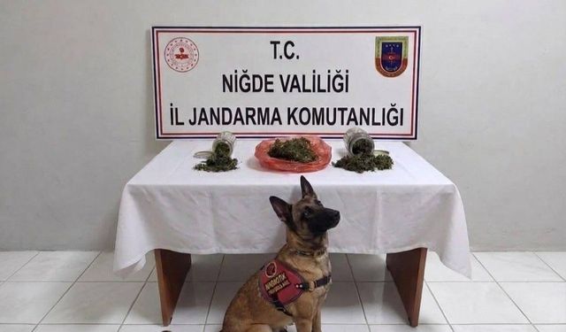 Niğde'de uyuşturucu operasyonu: 2 şüpheliye işlem yapıldı