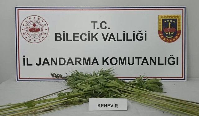 Bilecik'te uyuşturucu operasyonunda bir şüpheli yakalandı