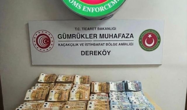 Kırklareli'nde döviz kaçakçılığı operasyonunda 1 şüpheli gözaltına alındı