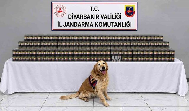 Diyarbakır'da kaçakçılık operasyonlarında 29 şüpheli hakkında işlem yapıldı