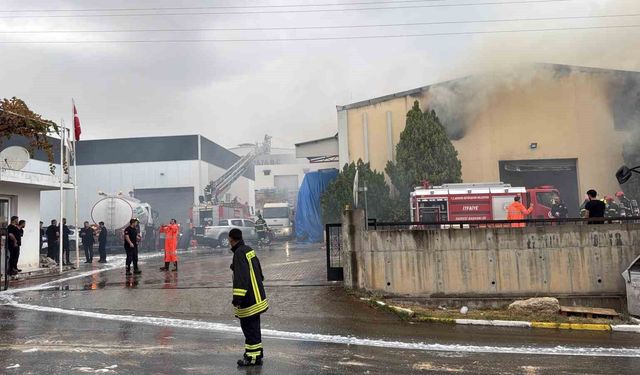 Mersin'de tütün ve makaron fabrikasındaki yangın kontrol altına alındı