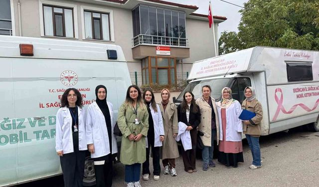 Sağlıklı Hayat Merkezi ekiplerinden kapsamlı saha çalışması