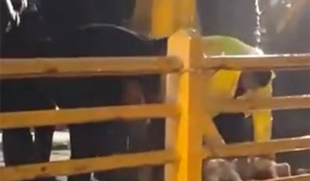 Yalova'da yağmurun durması için kurban kestiler