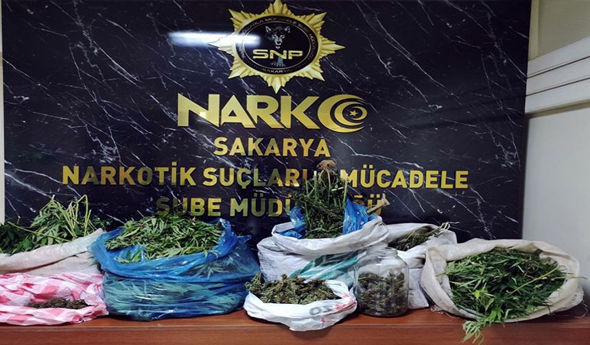 Sakarya’da uyuşturucu operasyonları: 85 şüpheli yakalandı