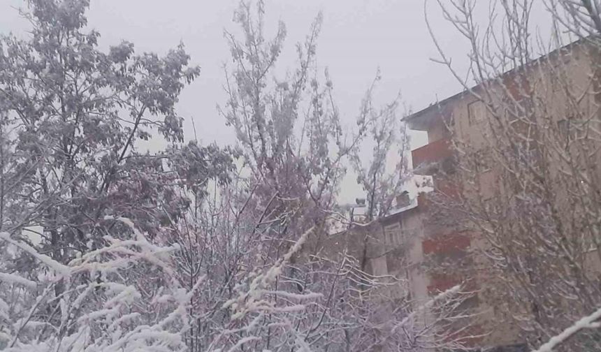Ağrı’da Mart’ta kar sürprizi: Şehir beyaza büründü