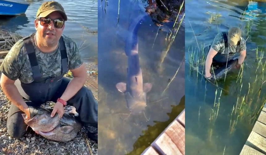 Sapanca Gölü’nde 24 kiloluk balık yakaladı...