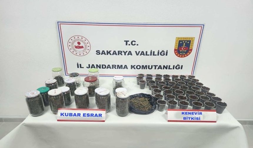 Sakarya'da uyuşturucu operasyonlarında 4 zanlı tutuklandı