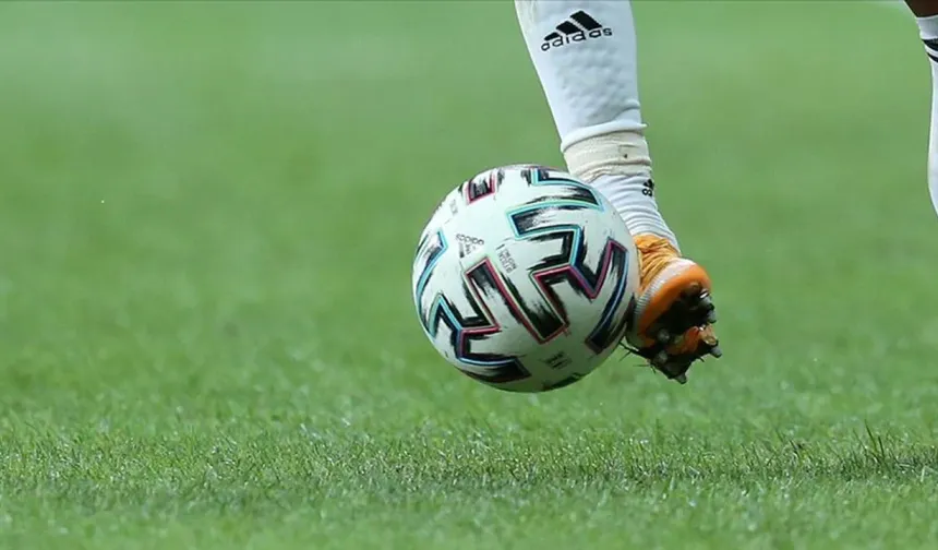 Sakaryaspor'a FIFA'dan transfer yasağı