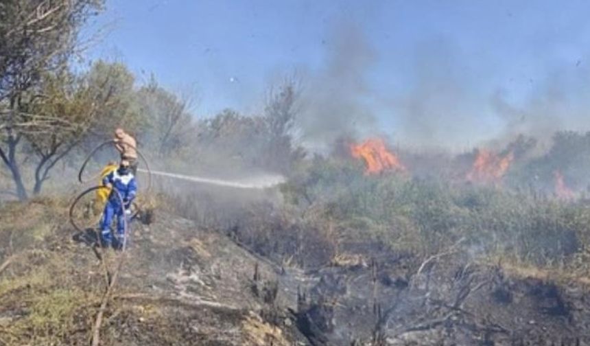 Osmaniye’de Kastabala Kuş Cenneti’nde çıkan yangın söndürüldü