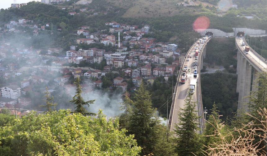 Anadolu Otoyolu'nda otomobilde çıkan yangın ulaşımı aksattı