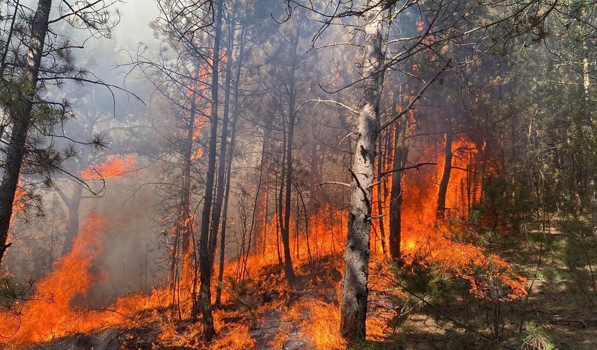 Karabük’teki orman yangınında alevler yayılıyor
