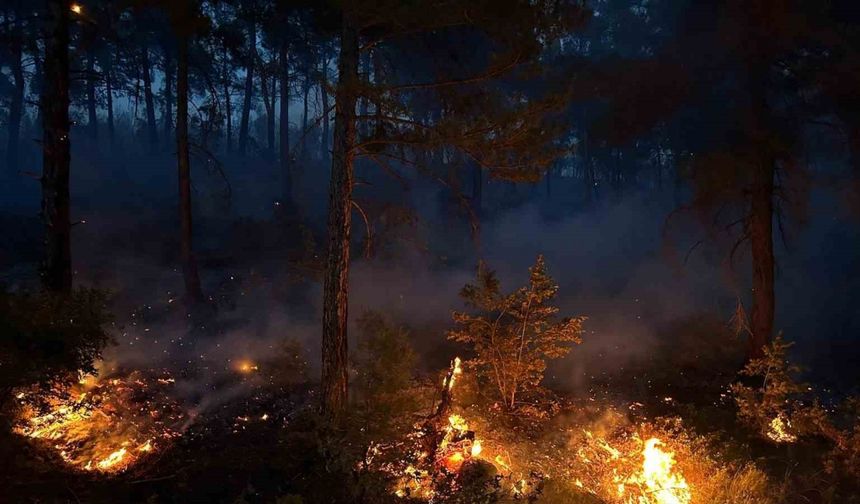 Uşak’ta ormanlık alanda çıkan yangına müdahale devam ediyor
