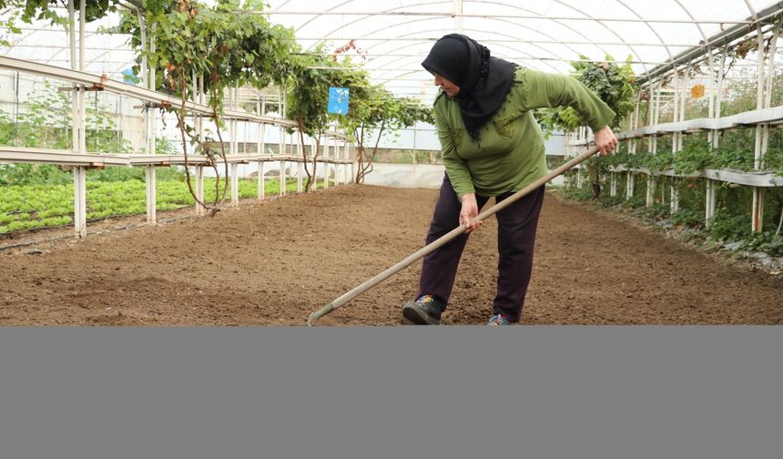 Devlet desteğiyle seracı olan kadın yetiştirdiği ürünleri müşterilerine satıyor