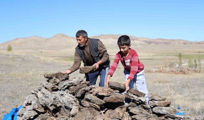 Dünyanın en çevre dostu yakacağı, kalorisi yüksek, karbonmonoksiti yok denecek kadar az