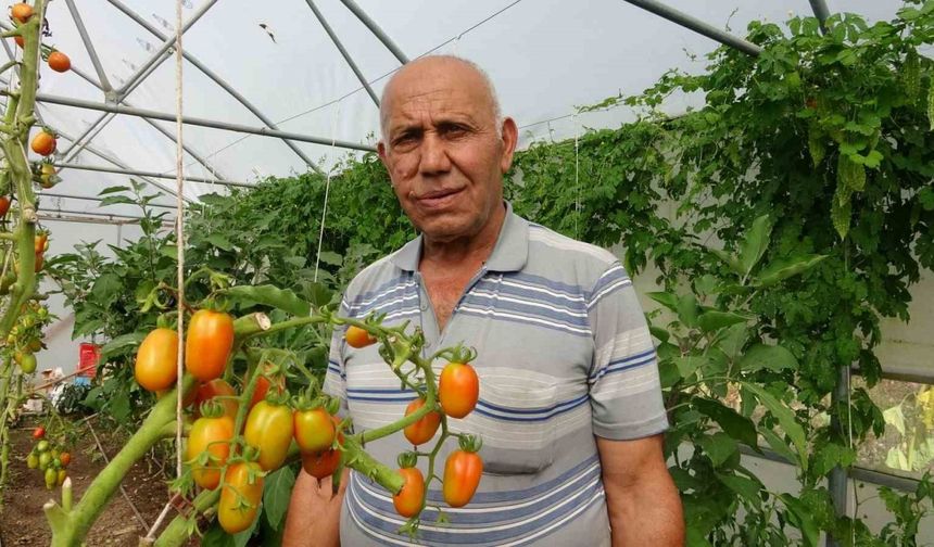 Yavuzkemal Beldesinden örnek tarım projesi