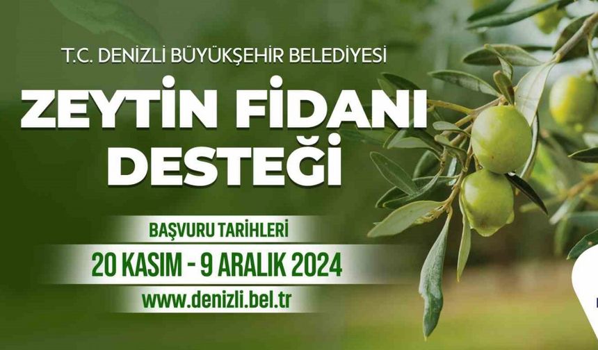 Denizli Büyükşehir çiftçilere 50 bin zeytin fidanı dağıtacak