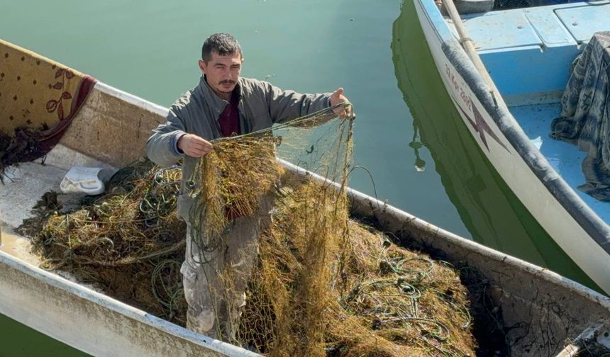 Eğirdir Gölü’nde sular çekildi, balıkçılar isyan etti: “Balık yerine yosun çekiyoruz"