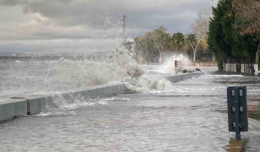 Kocaeli’de deniz taşarken 2 tekne battı, ağaçlar ise yerlerinden söküldü