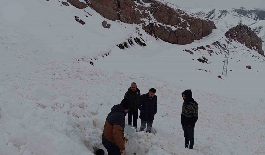 Şırnak’ta çığ düştü, kepçe operatörü ölümden döndü