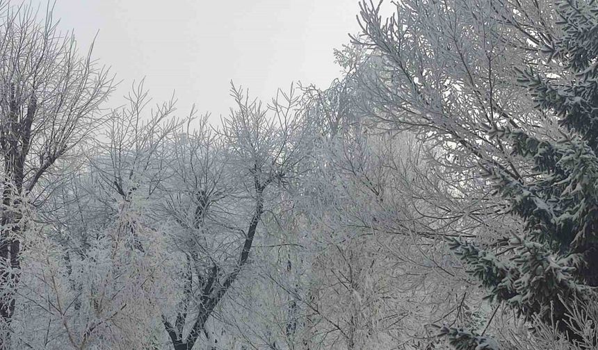 Ardahan’da Sibirya soğukları: Göle eksi 19