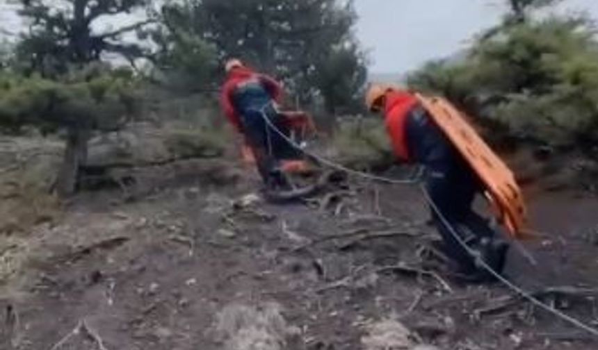 Artvin’de av sırasında kalp krizi geçiren rehber hayatını kaybetti