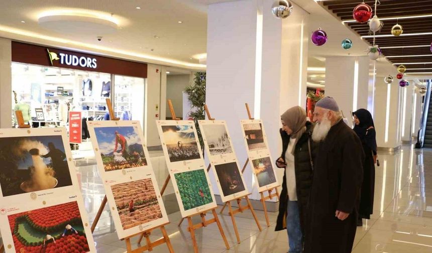 Erzincan’da 14. Uluslararası Tarım, Orman ve İnsan Fotoğraf Sergisi açıldı