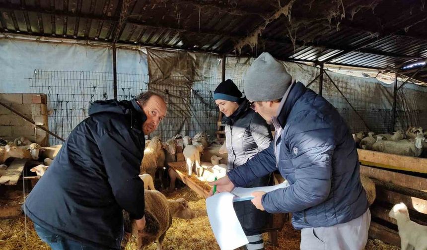 Kırklareli’de küçük ve büyükbaş hayvanların kontrolleri yapıldı