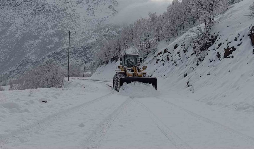 Şırnak’ta kapalı 9 köy yolu ulaşıma açıldı