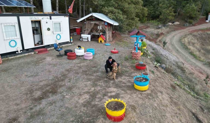 Tokatlı balıkçı Şila’yı bulana çeyrek altın verecek