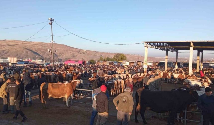 Yozgat’ta üç ilçede hayvan pazarları geçici olarak kapatıldı