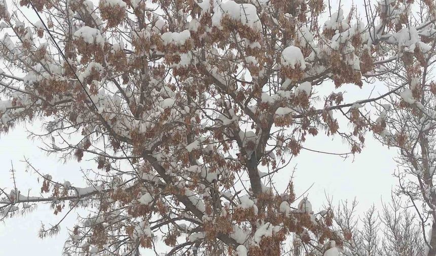 Ardahan’da kartpostallık kar görüntüleri