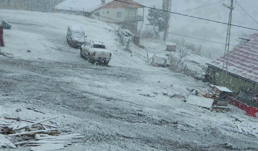 Posof güne kar ile uyandı