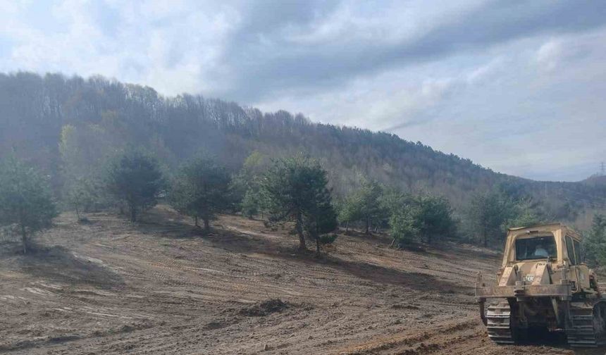 Zonguldak’ta sokak hayvanları için çalışmalar hız kazandı